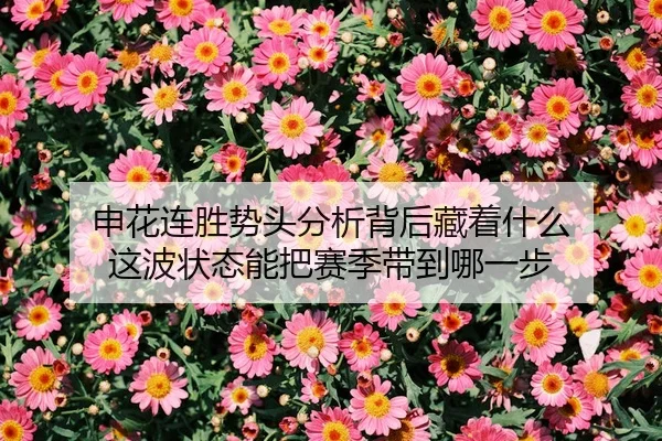 shen-hua-lian-sheng-shi-tou-fen-xi-bei-hou-cang-zhe-shen-me-zhe-bo-zhuang-tai-neng-ba-sai-ji-dai-dao-na-yi-bu-2-460.jpg